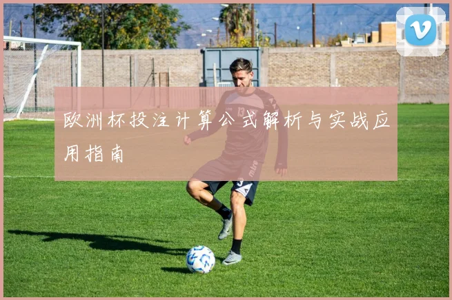 欧洲杯投注计算公式解析与实战应用指南