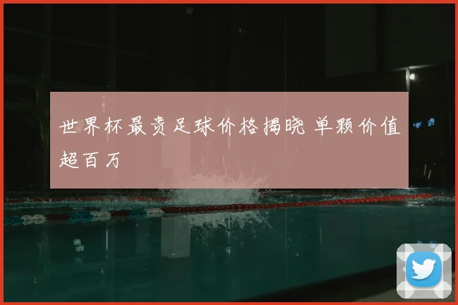 世界杯最贵足球价格揭晓 单颗价值超百万