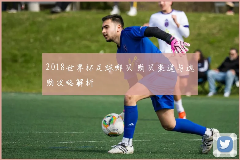 2018世界杯足球哪买 购买渠道与选购攻略解析