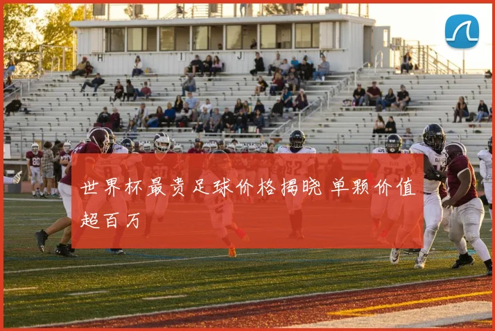 世界杯最贵足球价格揭晓 单颗价值超百万