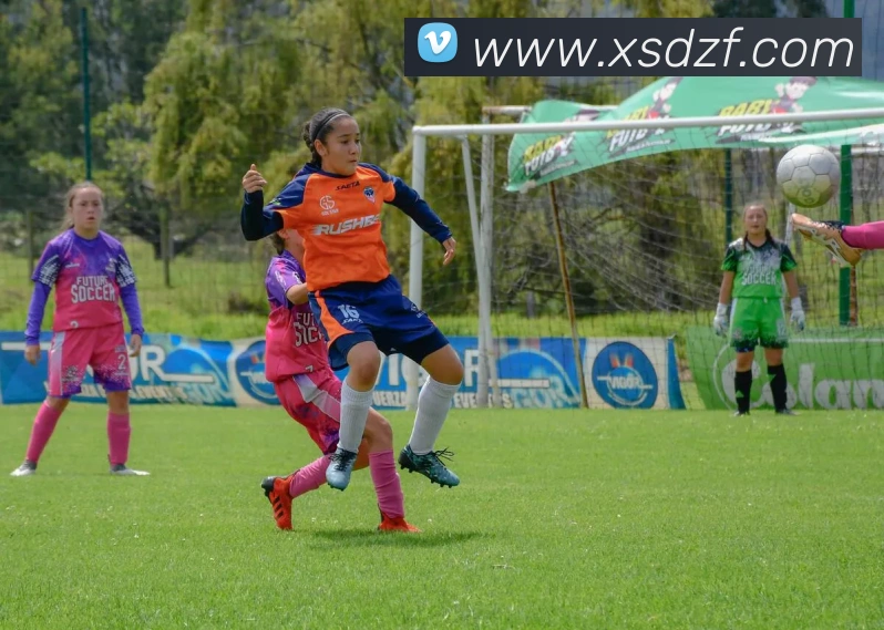 投注app官网全站App